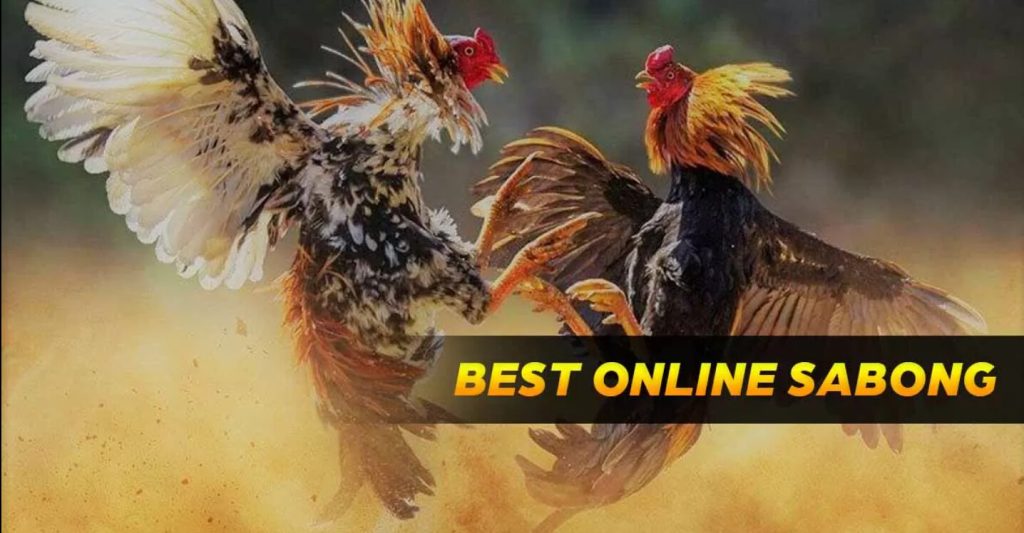 jlbet website image 489 showing 53479894826 d7f198b3d2 h